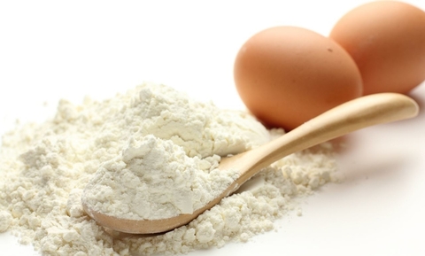 CLARA DE HUEVO EN POLVO