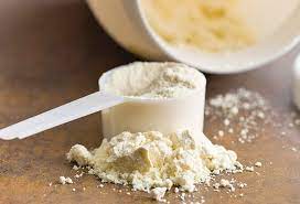 PROTEINA DE LECHE 70%