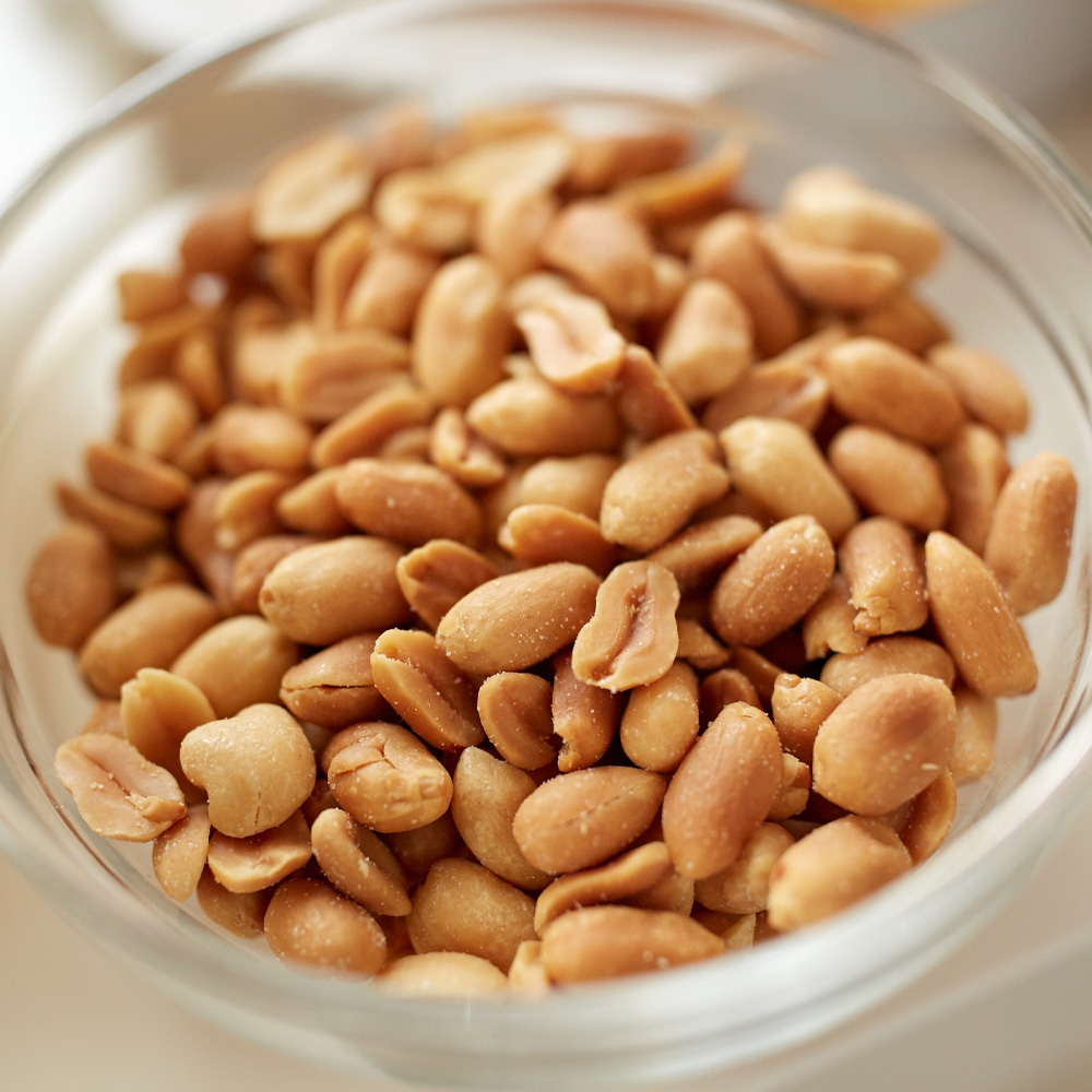 MANI TOSTADO CON SAL